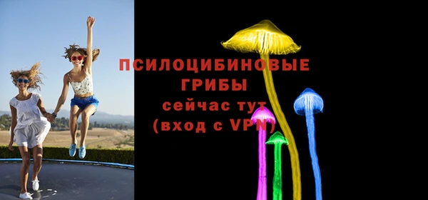 амф Алексин