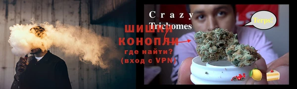 винт Алзамай