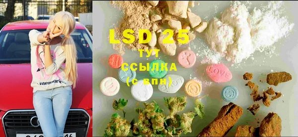 винт Алзамай