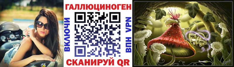 Псилоцибиновые грибы Psilocybine cubensis  Обоянь 